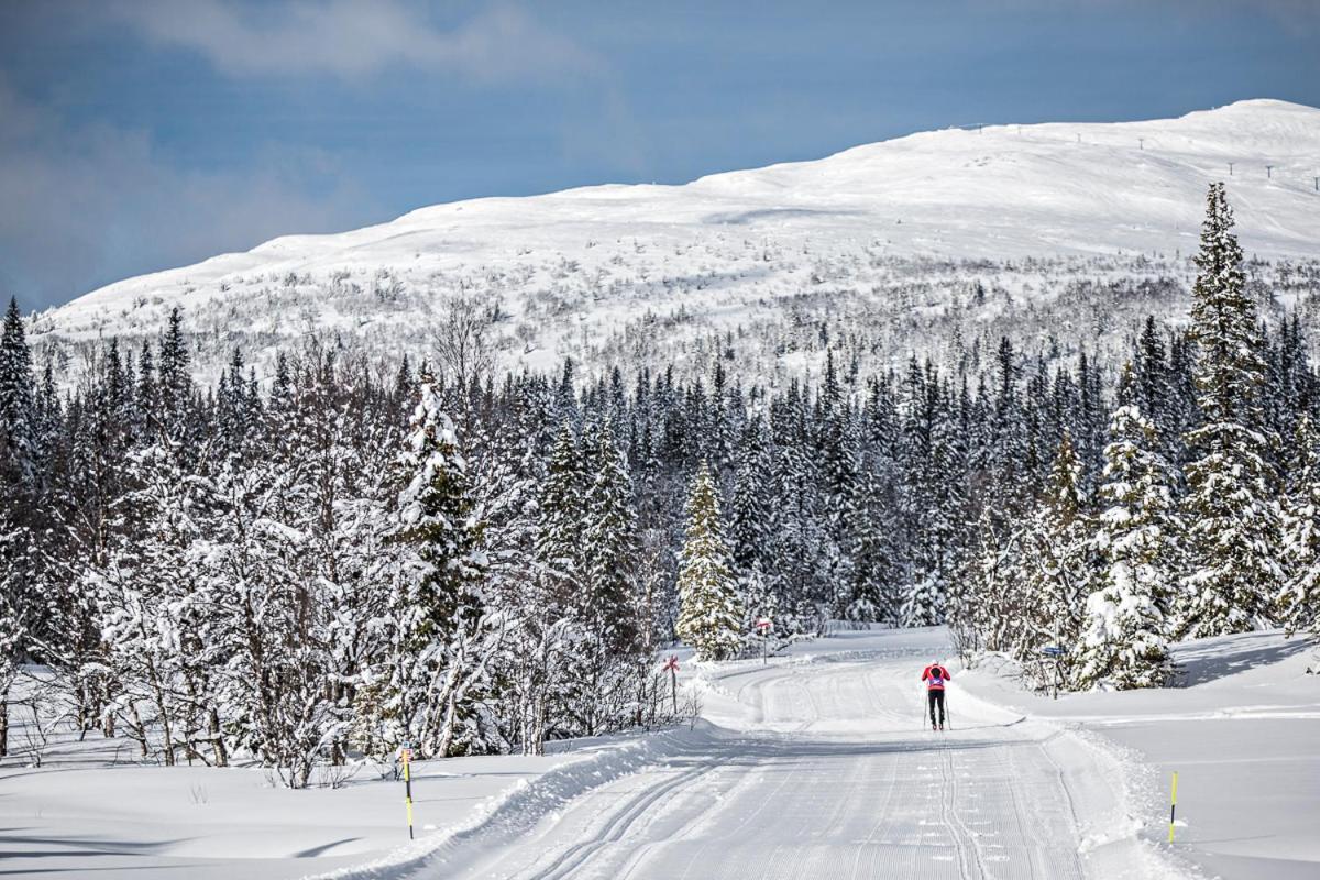 Koeja Fjaellhotell Edsasdalen Екстер'єр фото