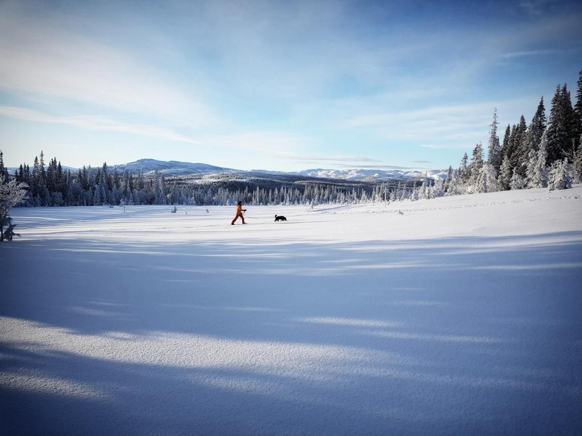 Koeja Fjaellhotell Edsasdalen Екстер'єр фото