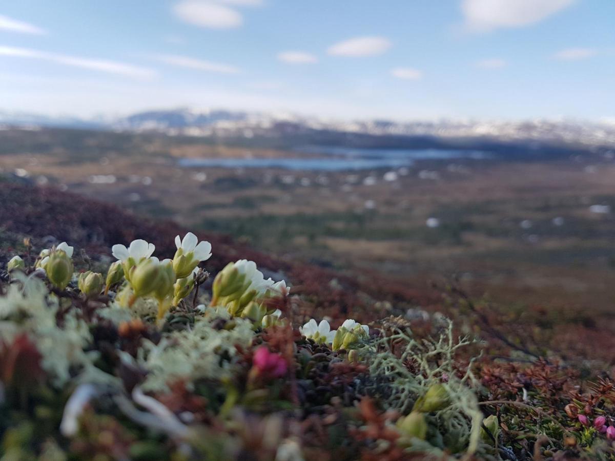 Koeja Fjaellhotell Edsasdalen Екстер'єр фото