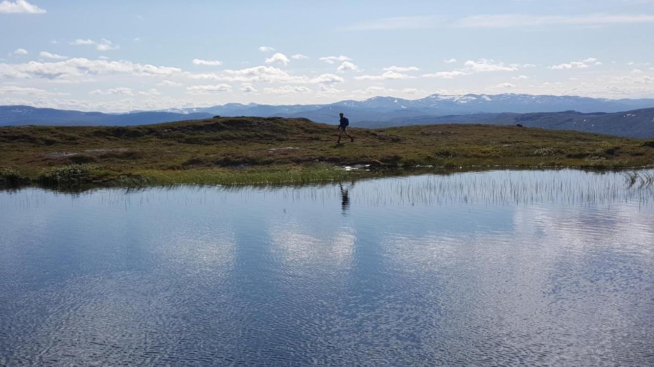 Koeja Fjaellhotell Edsasdalen Екстер'єр фото