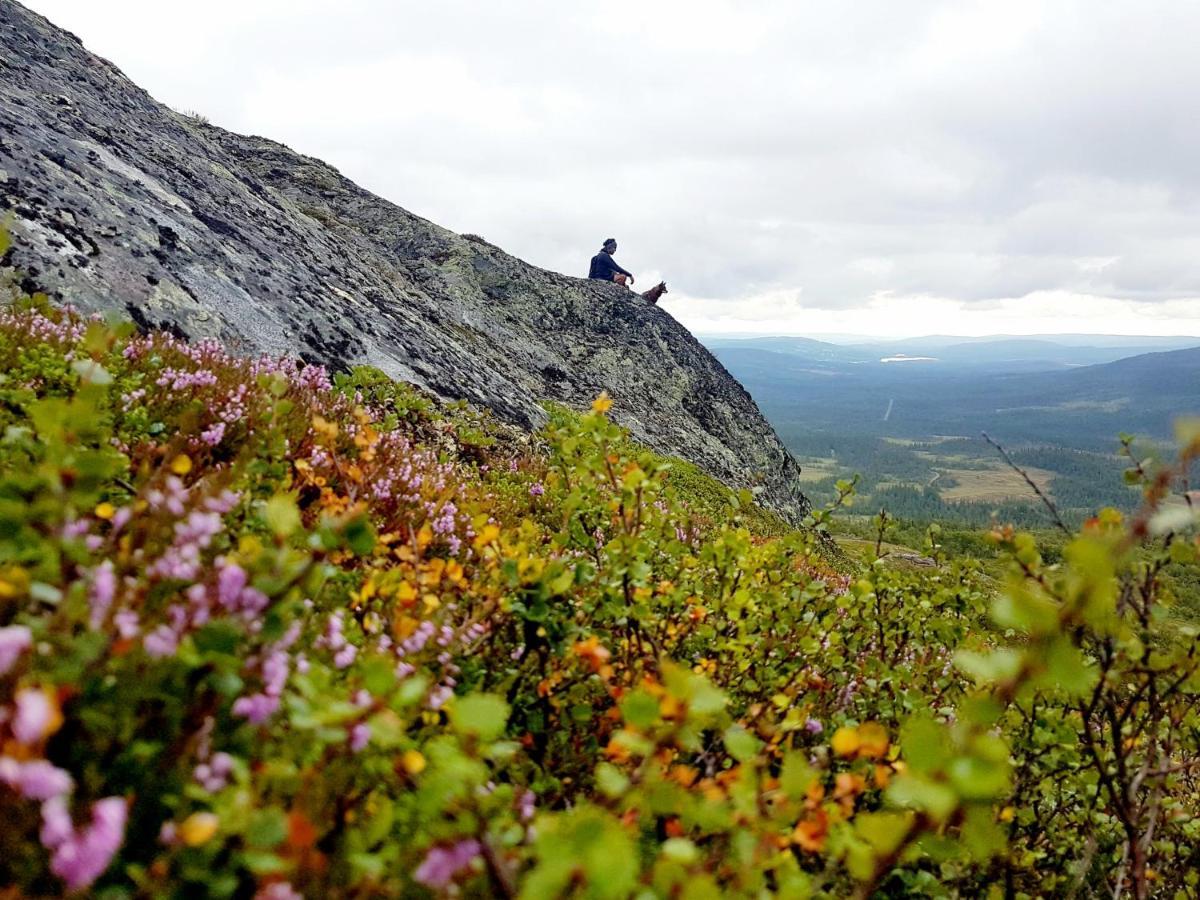 Koeja Fjaellhotell Edsasdalen Екстер'єр фото